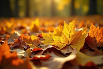 Sunlit pile of fallen leaves; yellow leaves nestled within browns and reds , bright, vibrant