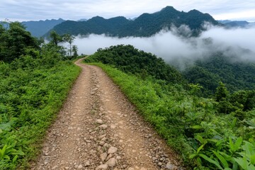 Fototapeta premium A misty jungle path winding through dense vegetation, disappearing into the foliage