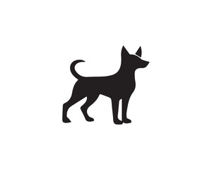 Obraz premium black dog on white background