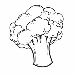 vector illustration of a broccoli