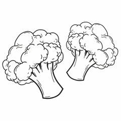 sketch broccoli isolated on white