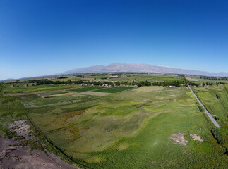 Naklejka premium panorama verde