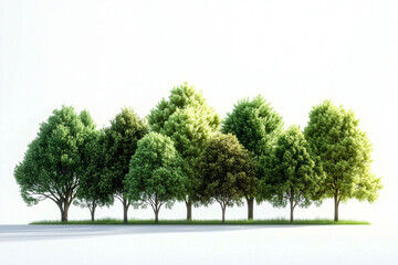 Obraz premium A serene cluster of varied deciduous trees in a minimalist setting, ideal for eco-friendly designs, promoting sustainability, nature conservation, and summer themes.