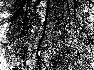 Black and white grunge rusted texture background