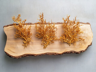 Photo of golden sea moss on a wooden board, against a gray background, in a top-down view