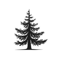 Obraz premium Douglas fir tree icon vector in black color with white background