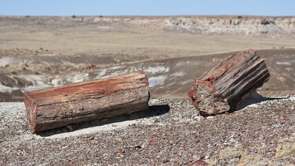 A petrified stone log in Arizona's Petrified Forest National Park.