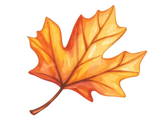 Fototapeta premium A vibrant, orange maple leaf showcasing intricate veins and a natural, artistic texture, Transparent background.