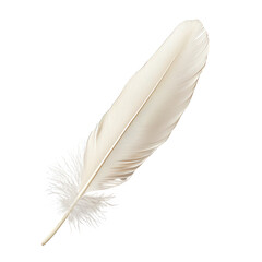 Fototapeta premium A delicate white feather with intricate barbs and a fluffy tip, showcasing natural elegance and texture, Transparent background.