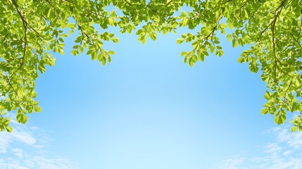 Obraz premium Bright Green Leaves Frame Blue Sky Background