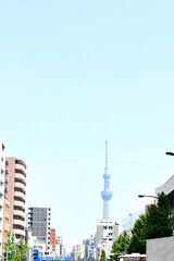 Obraz premium スカイツリーと風景