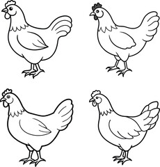 Bird Outline Illustration Set Line Art Collection of Various Birds