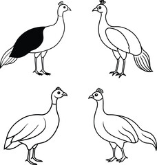Bird Outline Illustration Set Line Art Collection of Various Birds