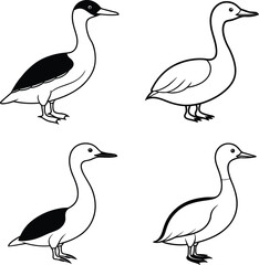 Obraz premium Bird Outline Illustration Set Line Art Collection of Various Birds