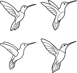 Bird Outline Illustration Set Line Art Collection of Various Birds
