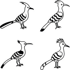 Bird Outline Illustration Set Line Art Collection of Various Birds