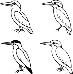 Bird Outline Illustration Set Line Art Collection of Various Birds