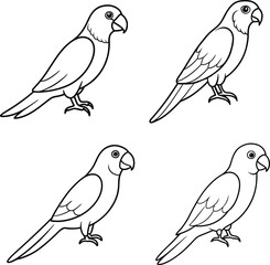 Bird Outline Illustration Set Line Art Collection of Various Birds