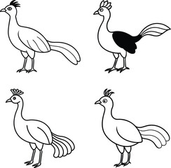 Bird Outline Illustration Set Line Art Collection of Various Birds