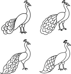 Bird Outline Illustration Set Line Art Collection of Various Birds