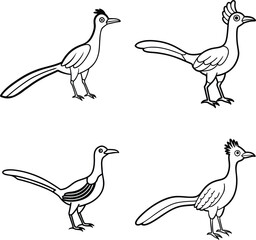 Bird Outline Illustration Set Line Art Collection of Various Birds