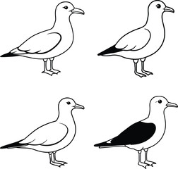 Bird Outline Illustration Set Line Art Collection of Various Birds
