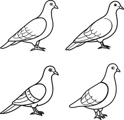 Bird Outline Illustration Set Line Art Collection of Various Birds
