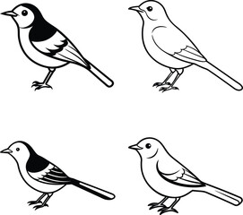 Bird Outline Illustration Set Line Art Collection of Various Birds