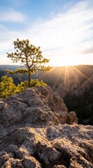 Lone Pine Sunset Clifftop Landscape