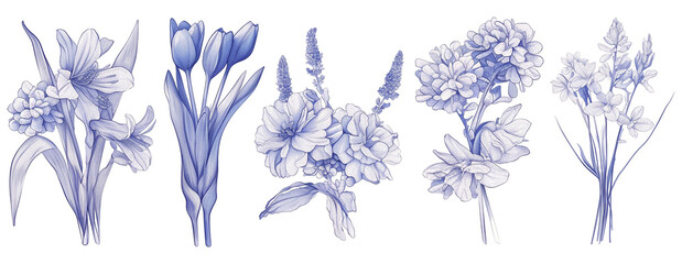 Bundled Collection set of flowers line art paintings.