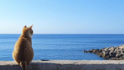 A Curious Ginger Cat Sitting on a Concrete Wall Overlooking a Calm Blue Ocean under a Clear Sky on a Bright Sunny Day