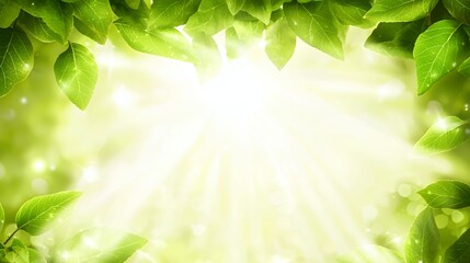 Bright Sunlight Through Lush Green Leaves Frame