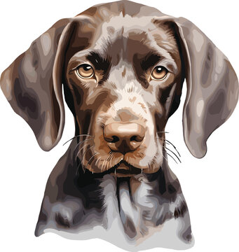 German short haired dog clip art