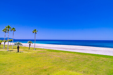 青い海青い空、七里御浜海岸のヤシの木　熊野灘