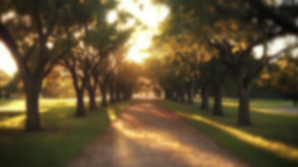 Obraz premium Nature city park garden blur bokeh background. AI Generated Images