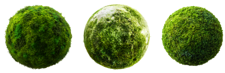 Set off Green Earth isolated on a Transparent background