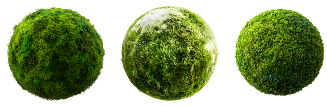 Set off Green Earth isolated on a Transparent background