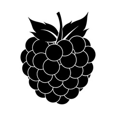 Blackberry silhouette vector
