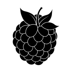 Blackberry silhouette vector