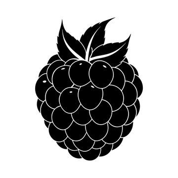 black blackberry fruit with leaves clip art preview