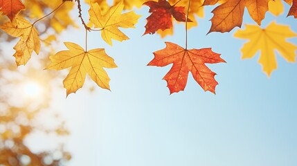 Obraz premium Autumn Maple Leaves Hanging from Branch Against Blue Sky