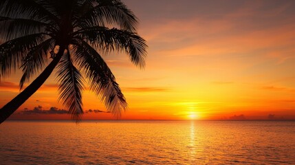 Spectacular Summer Concerts: Live Stage, Talented Artists, and Unmatched Energy, Sunset over the ocean with a silhouetted palm tree, creating a serene tropical atmosphere.