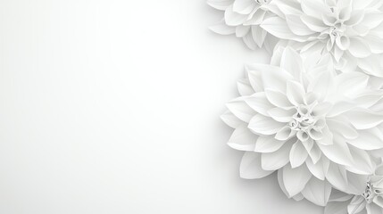 Elegant white floral arrangement with soft petals on a clean background, ideal for modern design and decoration.