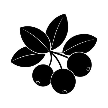 black berries with leaves clip art preview