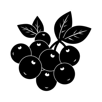 black berries with leaves on white background clip art preview