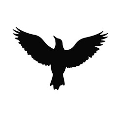 Silhouette of a soaring bird with outstretched wings, freedom symbol