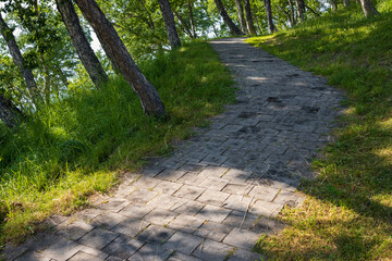 Footpath. A tree-paved path in the park. Ecological trail. Walking and outdoor recreation.