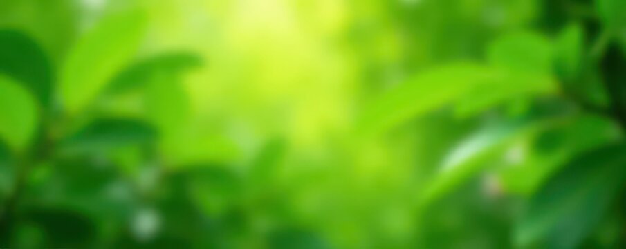 Blurred green leaves, peaceful backdrop for virtual calls, virtual background, work, remote work