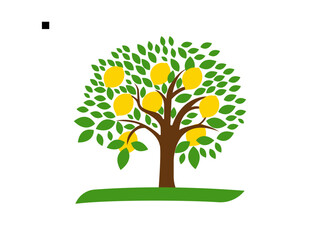 Fruit Tree Lemon Tree. Lemon Tree Branch Isolated on White Background.