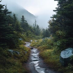 Obraz premium Light Rain Over the Mountain Pathway